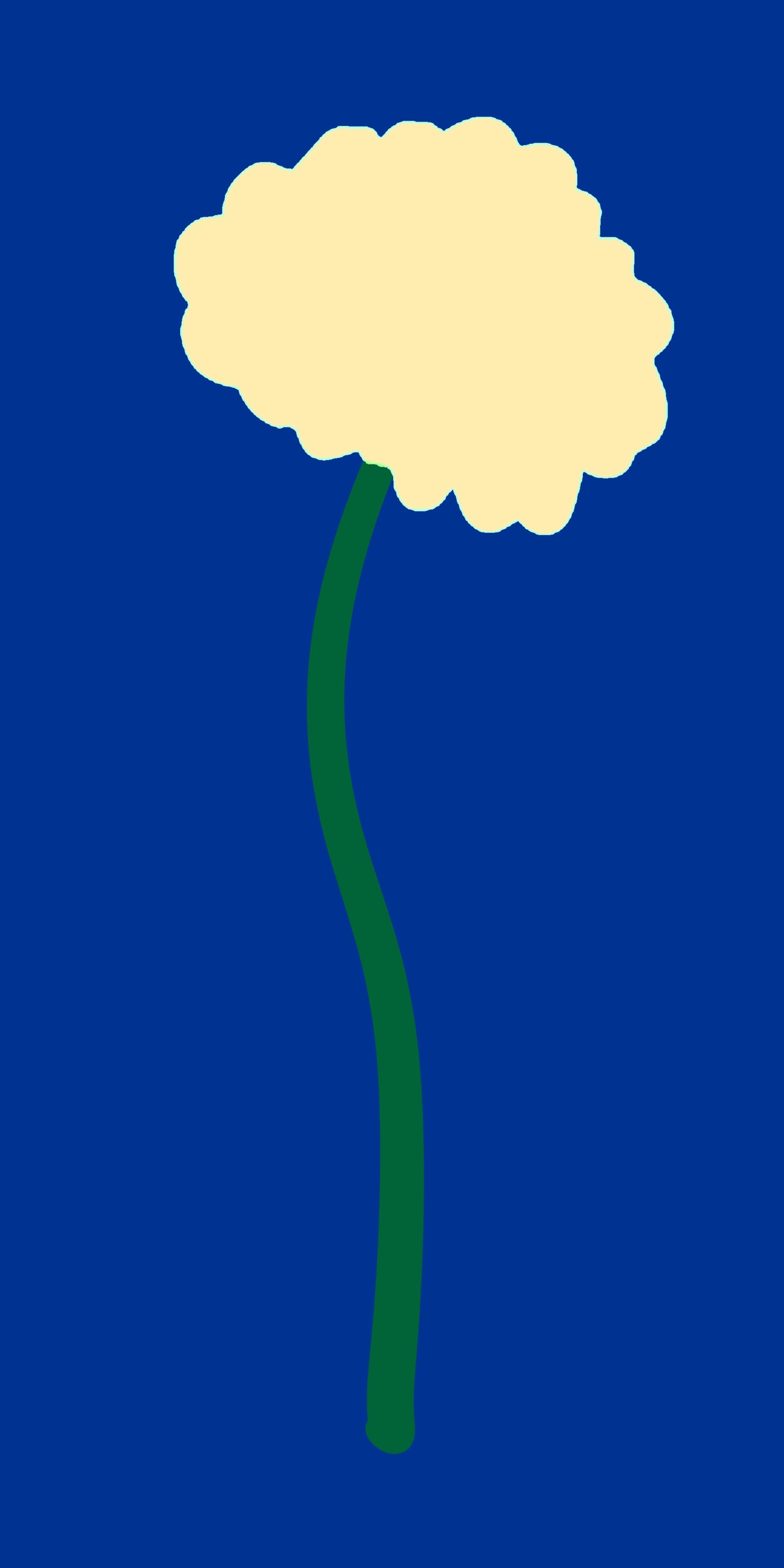 La petite fleur bleu