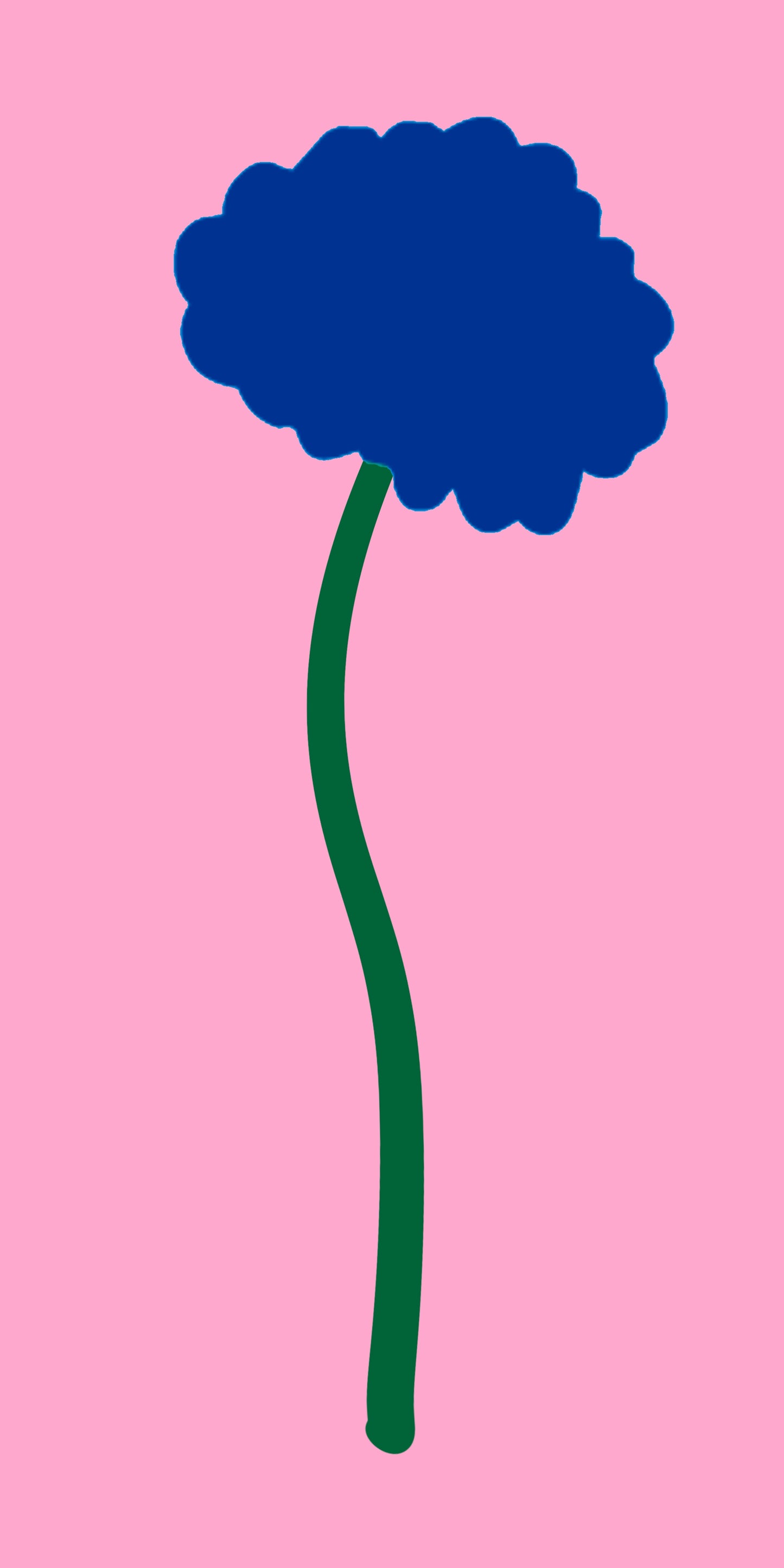 La petite fleur rose