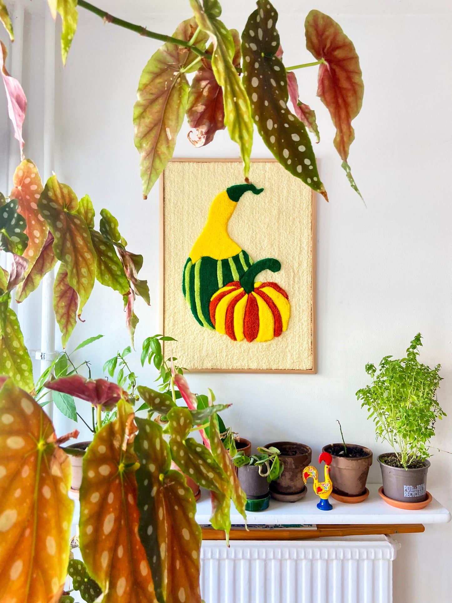 Les courges d'automne