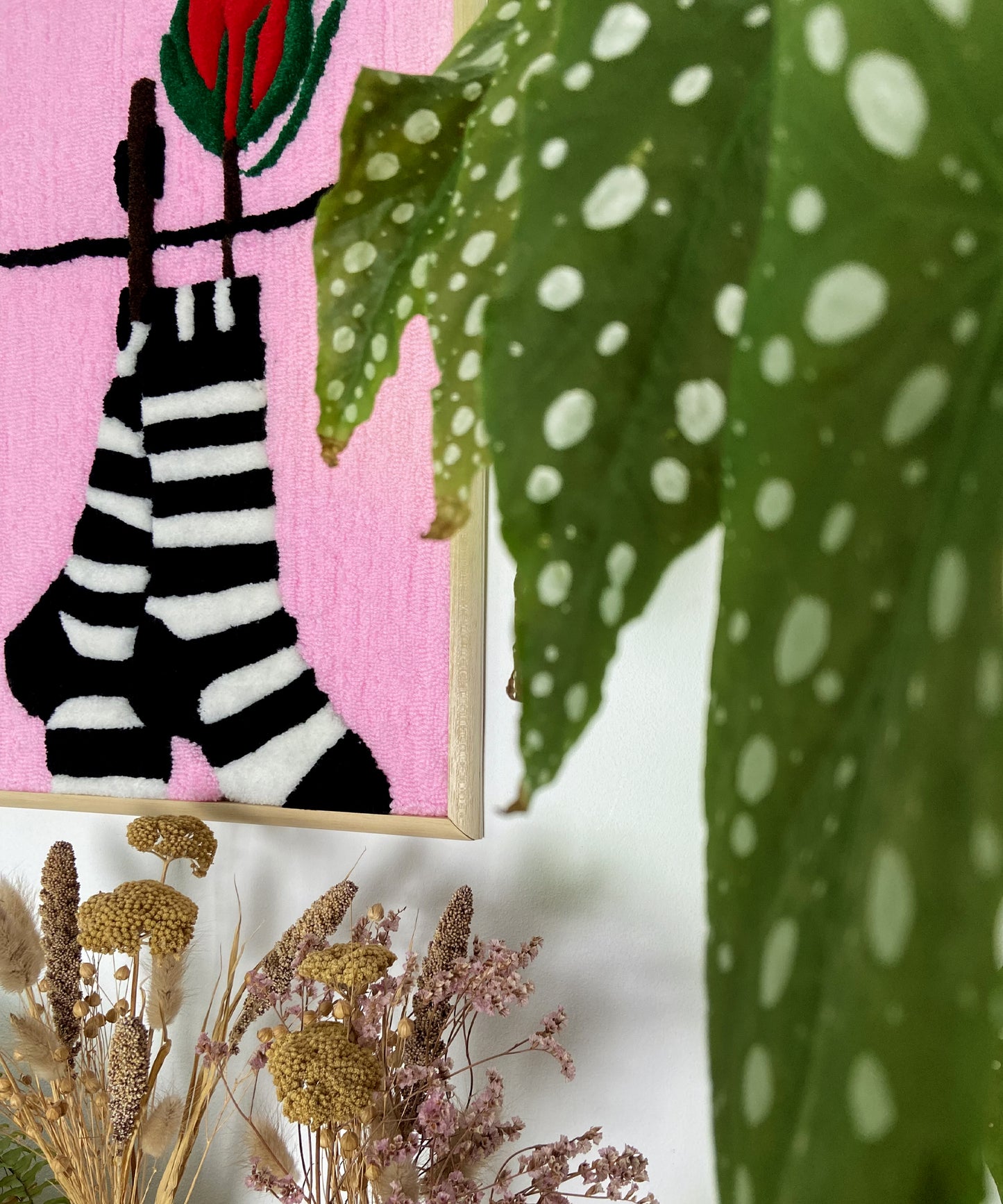 Les chaussettes rayées