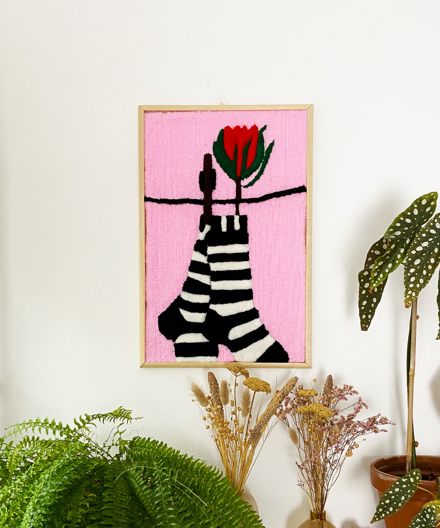 Les chaussettes rayées